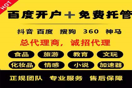 SEM代运营托管公司案例深度解读